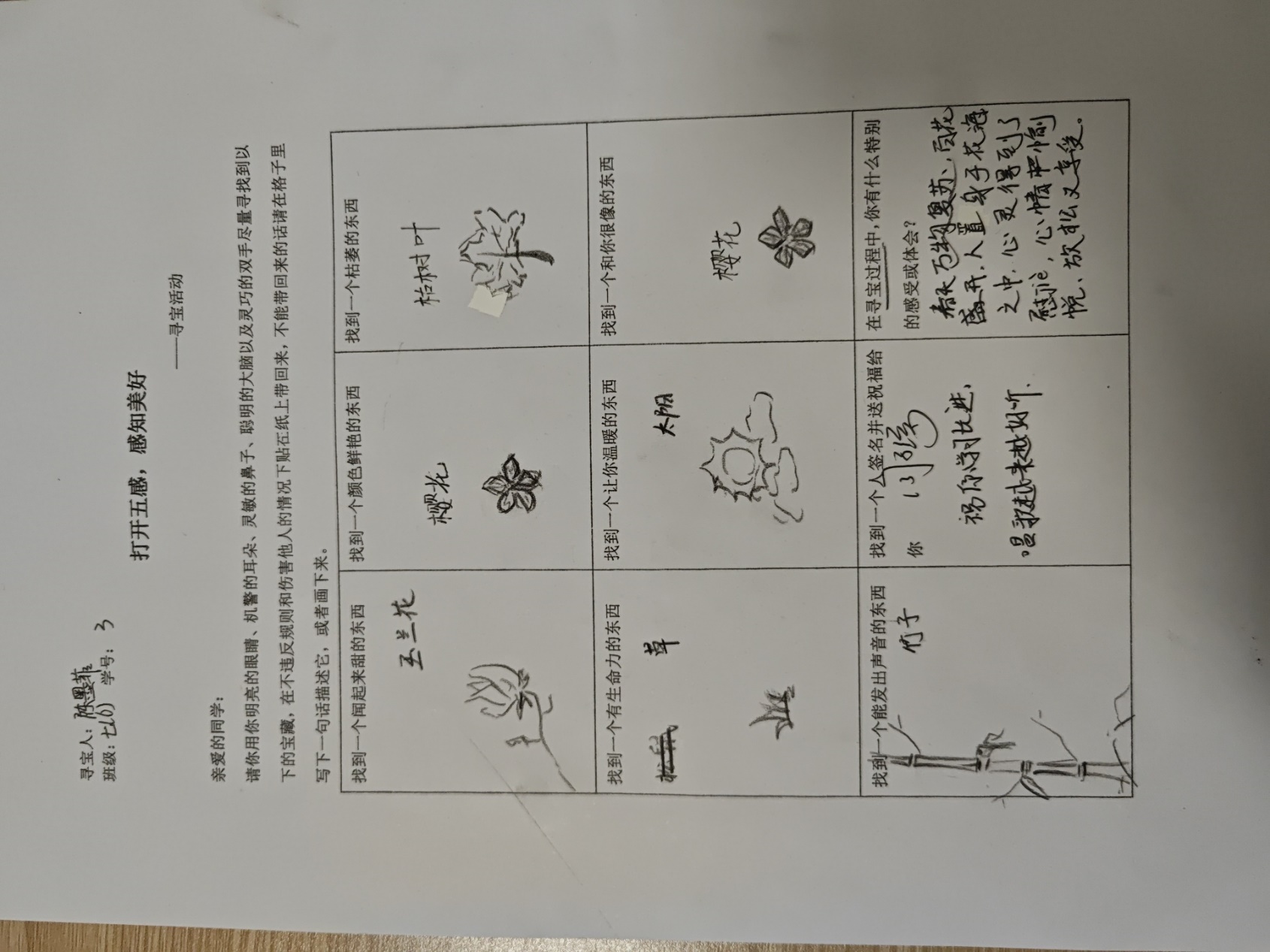 image11.jpeg