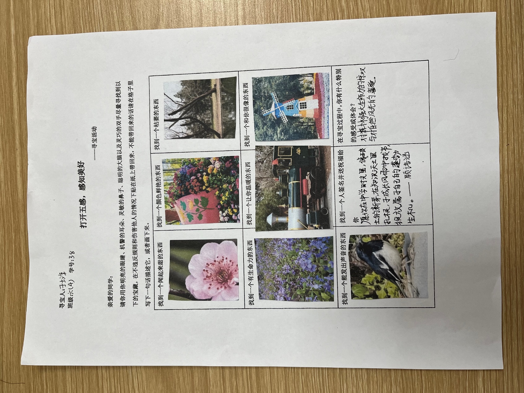 image15.jpeg