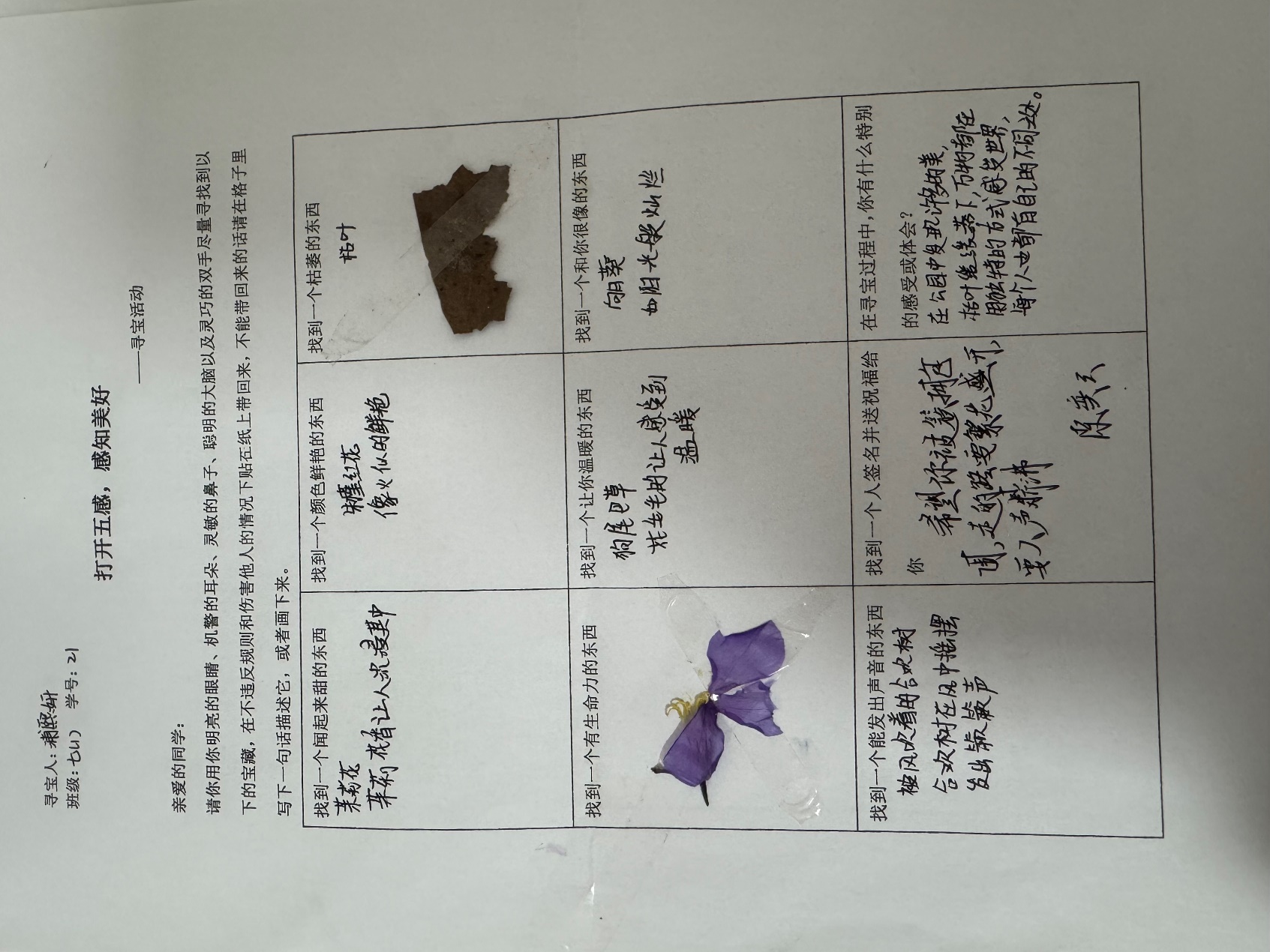 image16.jpeg