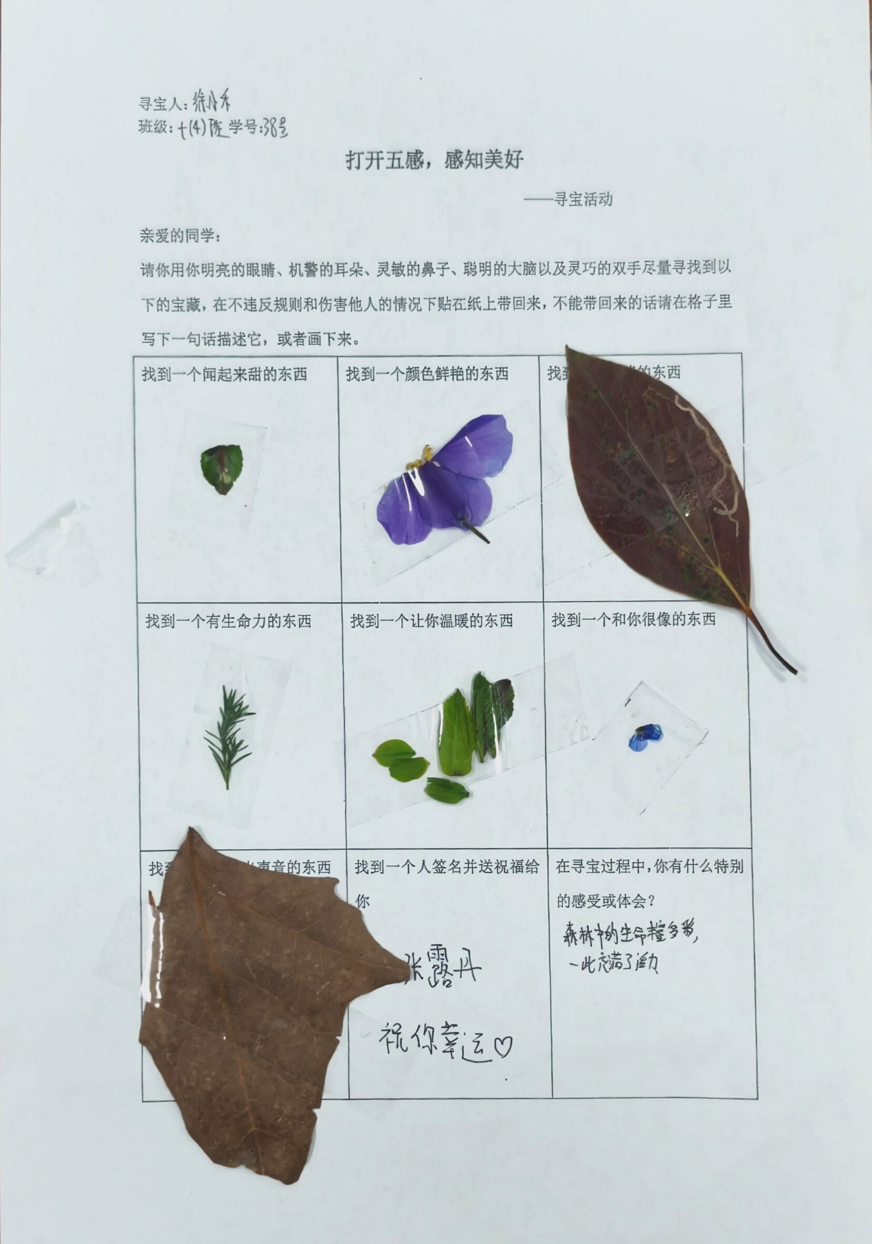 image17.jpeg