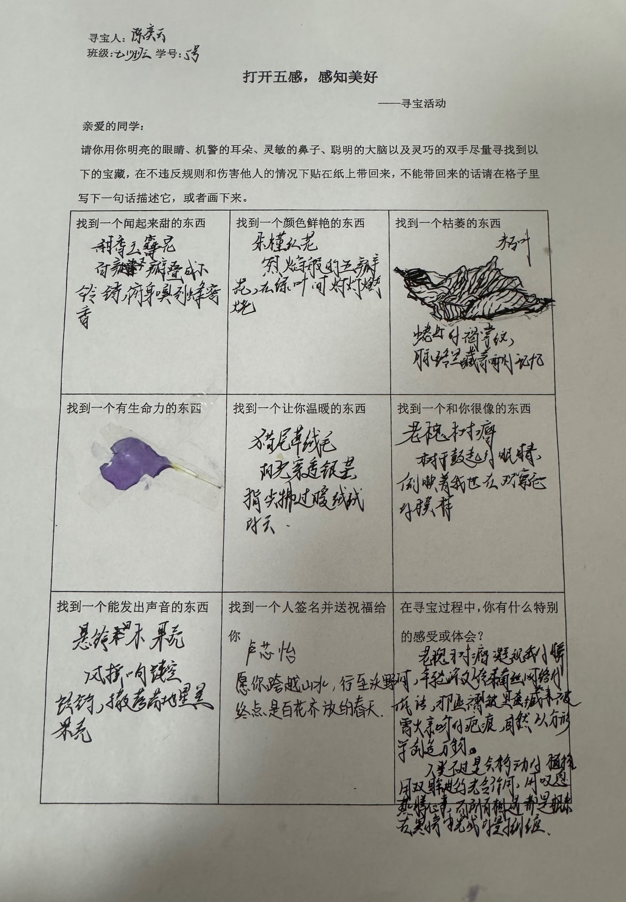 image20.jpeg