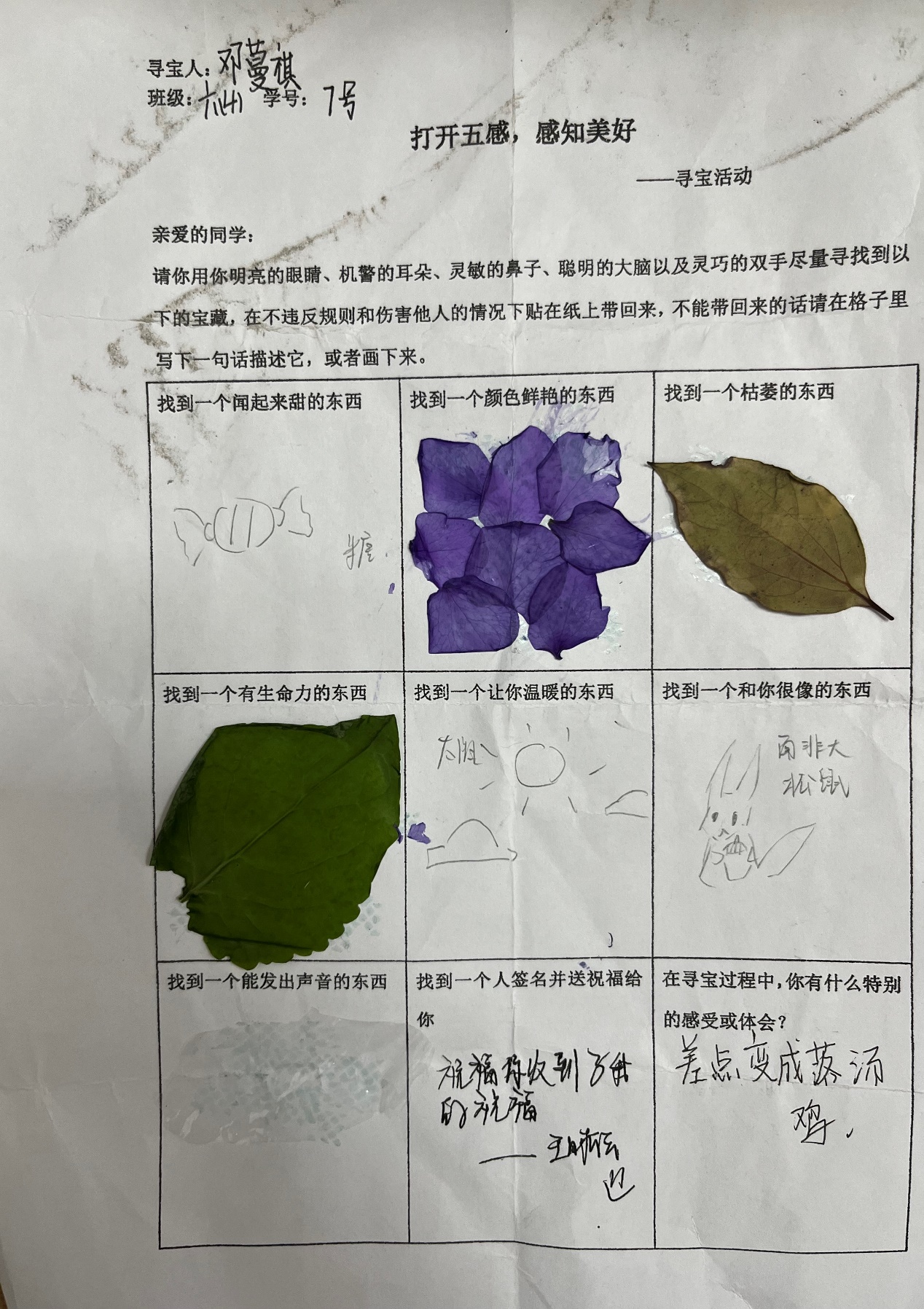 image21.jpeg