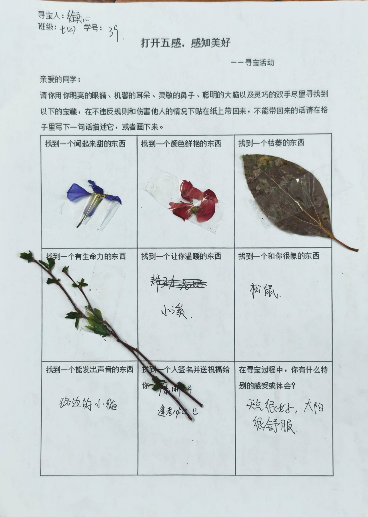 image26.jpeg