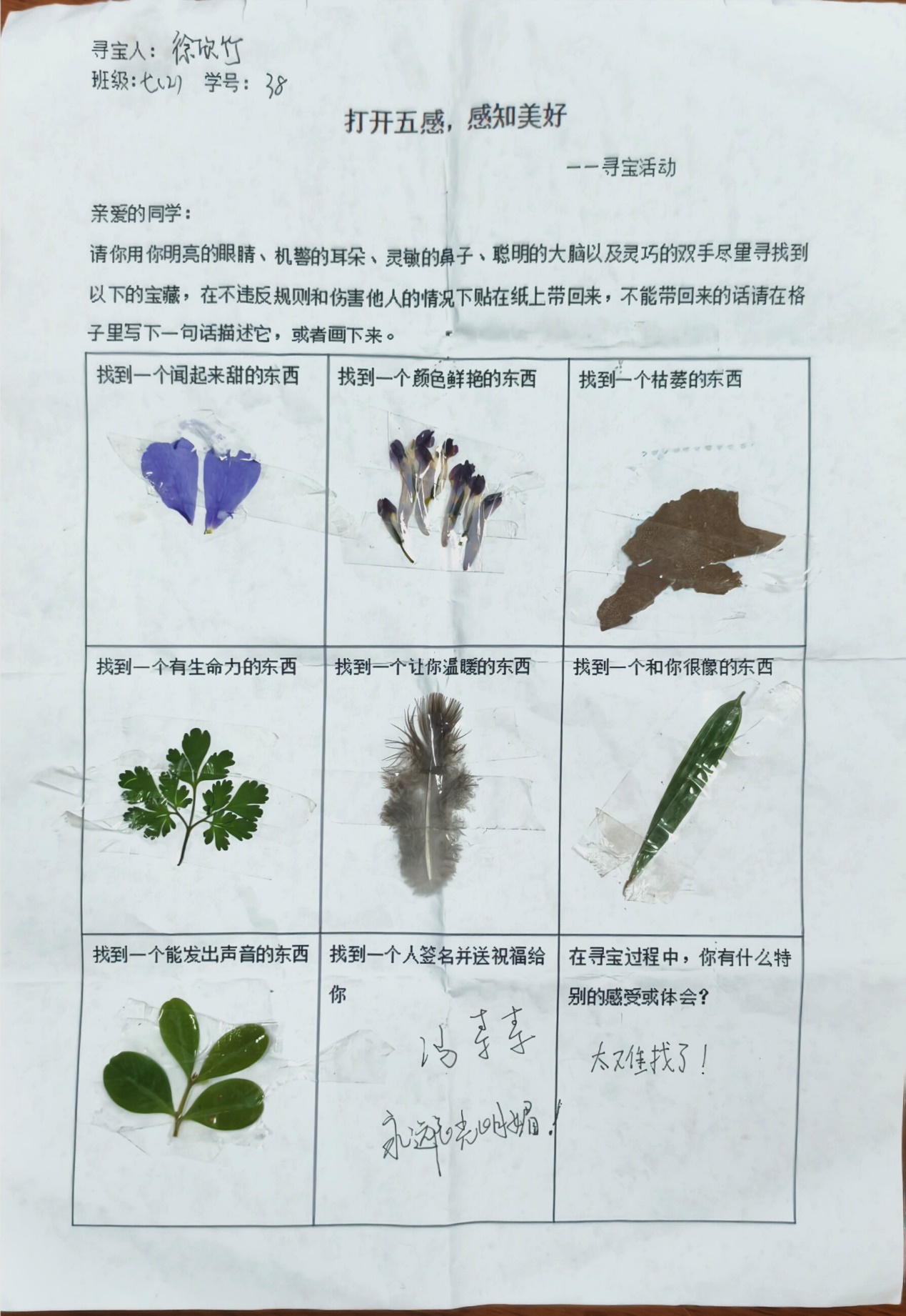 image27.jpeg
